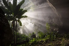 Son Doong cave welcomes 500 more tourists 