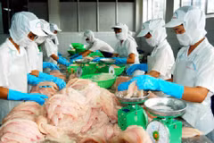 Khanh Hoa runs trade surplus of over 280 million USD 
