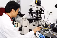 Overseas intellectuals help promote national innovation 