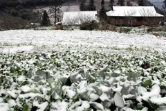 Loan extension to aid cold-spell victims