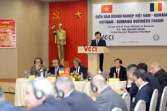 Vietnam, Romania strengthen economic ties