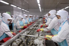 Shrimp export to US sees growth 