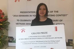 Writing contest marks Vietnam-Denmark diplomatic ties
