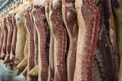 Russia to export pork to Vietnam in 2017 