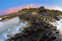 Phu Yen tourism flourishes 