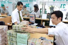 State revenue from dividends still low