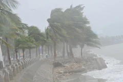 Quang Ninh braces for tropical storm Dianmu 