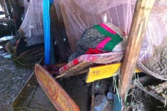 Son La: Floods kill three people