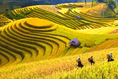 Sa Pa summer festival promotes folk culture