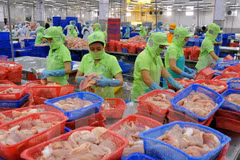 Da Nang, UK forge partnerships