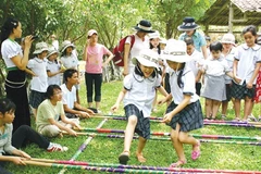 Hanoi: Tet programme to feature ethnic culture