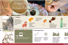 Interesting activities at Hanoi Autumn Festival