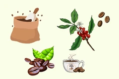 Coffee exports set to account for 80-85% of total production by 2030