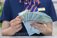 Remittances help Vietnam increase financial strength