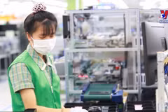 FDI firms power Vietnam’s exports