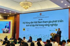 Deputy PM highlights importance of collective economy
