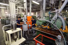 Economic landscape shines in the first month of the year