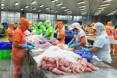 Vietnam-US trade predicted to flourish in H2