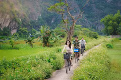 Sustainable tourism an inevitable trend: Insiders