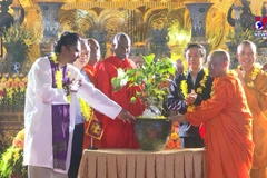 Sapling from world's longest-living Bodhi tree planted in Bai Dinh pagoda