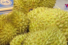 Fruit and vegetable exporters gear up for year-end