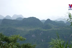 International media praise Vietnam’s tourism charms