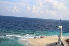 Promoting green growth - key to help Vietnam achieve maritime prosperity: insiders