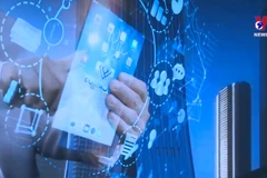 Training human resources crucial for digital transformation