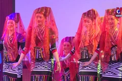 Art performance spotlights Vietnamese culture in France