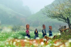 Moc Chau listed as Asia’s Leading Regional Nature Destination 2023