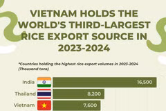 Vietnam - the world's third-largest rice exporter