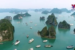 Vietnam most favored by Koreans for summer holidays