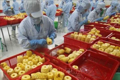 Veggie, fruit exports to China enjoy double-digit growth