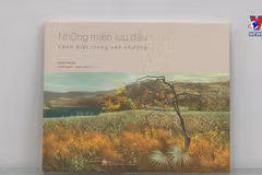 Vietnam depicted through art book