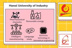 New attractive university majors in 2023