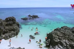 Vietnam’s tourism recovering quickly