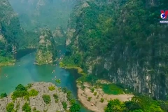 Foreign visitors to Vietnam surge over 12-fold year on year