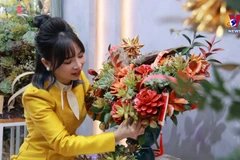 Echeveria gaining in popularity among Vietnamese people