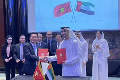 CEPA opens chances for key products to enter the UAE