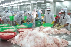 Peruvian aquatic firms seek opportunities in Vietnam