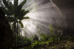 Son Doong Cave nominated for world record