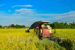 Minister points to bottlenecks in agricultural restructuring 