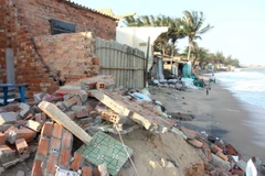 Tien Giang proactive to prevent landslides