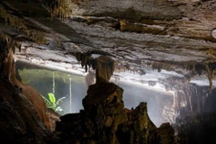 More caves discovered in Quang Binh