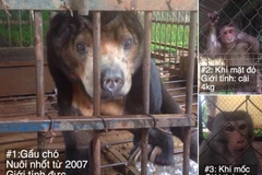 Wild sun bear, monkeys saved in Dak Lak