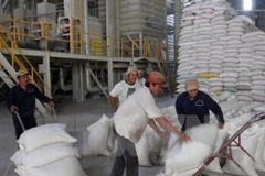 Manufacturers show optimistic business prospects for 2016