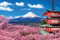 Japan to open first tourism office in Vietnam 