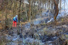 Dry weather raises fire alert in Dien Bien