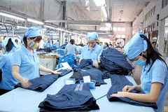 Vietnam-Canada cooperation to benefit largely from TPP 