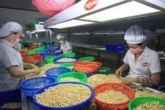 Exporters' outlook for 2016 remains mixed 